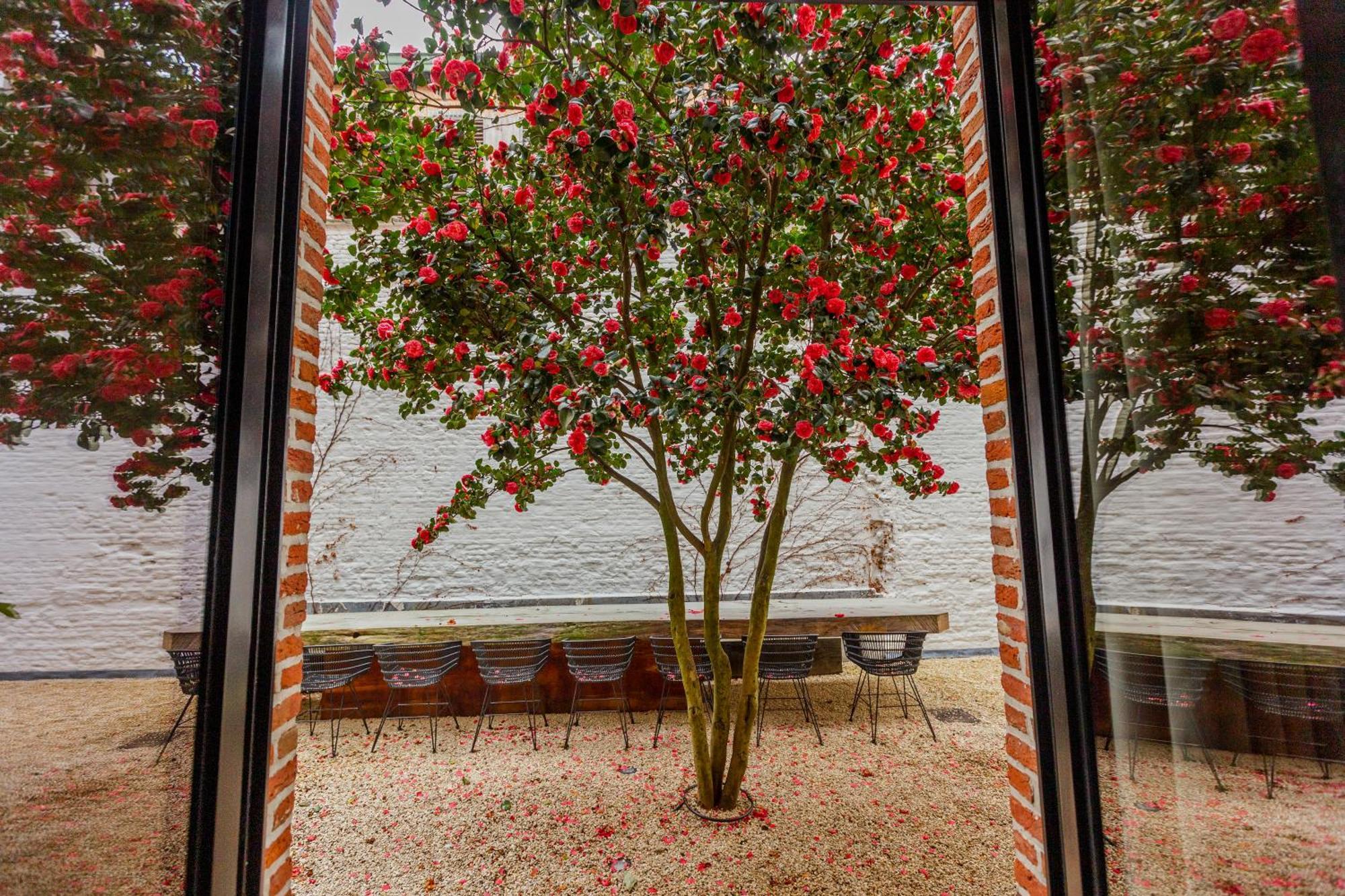 Btfl Living Antwerp Apartment Exterior foto